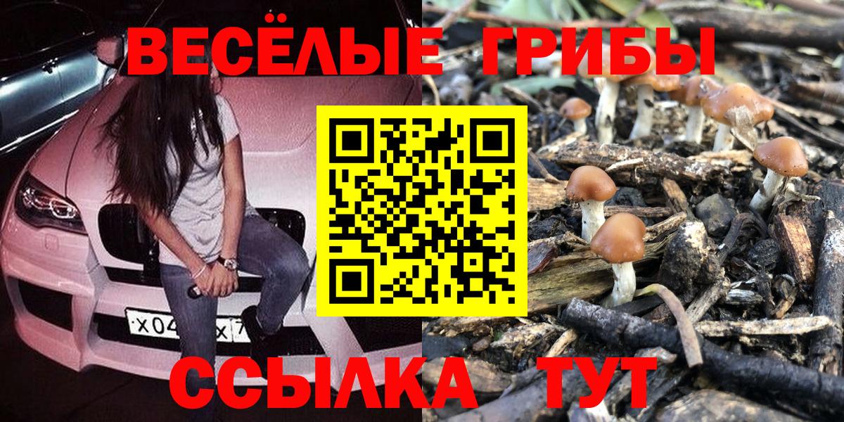 Галлюциногенные грибы GOLDEN TEACHER  Вход с VPN  Асино 
